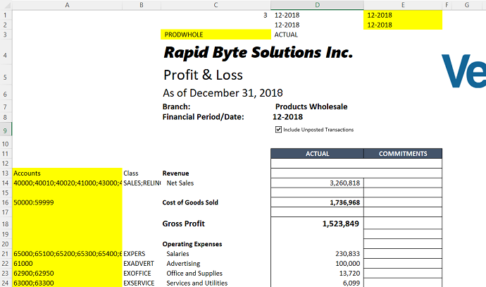 P&L report showing account numbers in column A and Branch, Start Period, and End Period parameter cells