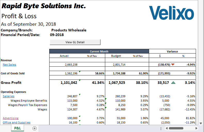 Sample P and L report in Excel showing account balances