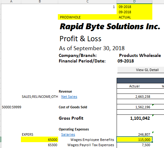 Expanded hidden rows showing Branch, Account, and Period values behind the selected balance