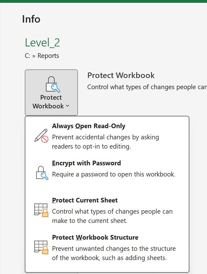 Excel File Info page showing the Protect Workbook button and its dropdown options