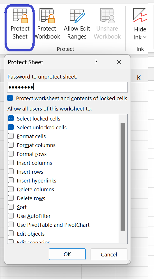 Excel Protect Sheet dialog with a password field and a list of permissions checkboxes
