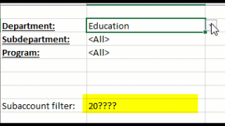 Report parameter area with Department, Sub-department, Program, and Subaccount dropdown cells