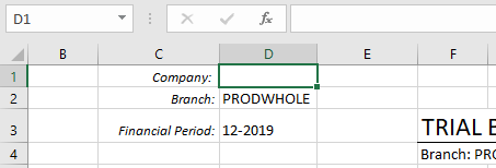 Report parameter area with a Company input cell ready for Data Validation