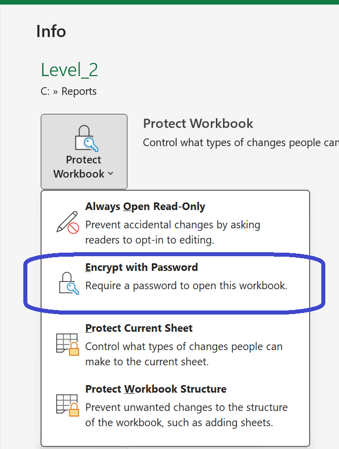 Excel Protect Workbook dropdown with the Encrypt with Password option highlighted