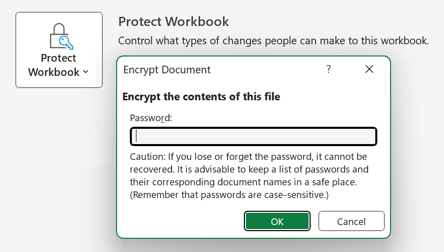 Excel Encrypt Document dialog prompting for a password to protect the workbook