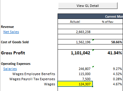 Report cell selected before clicking View GL Detail