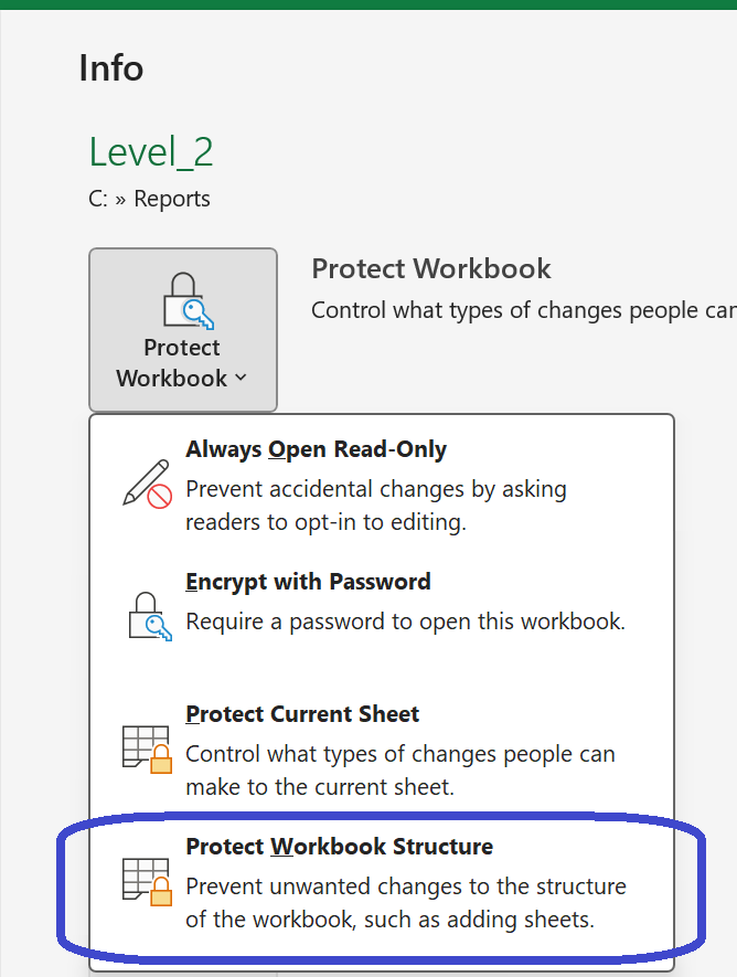 Excel Protect Workbook dropdown with the Protect Workbook Structure option highlighted